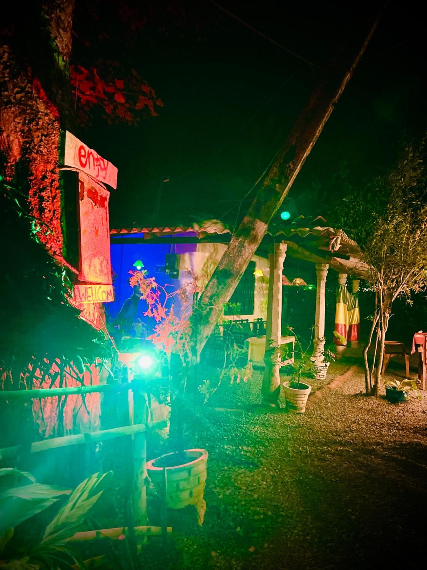 Reggae Paradise